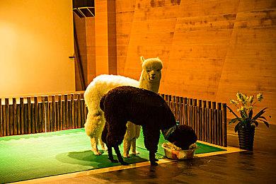 青春校园模拟游戏《夏日盛宴》Steam页面上线 发售日待定